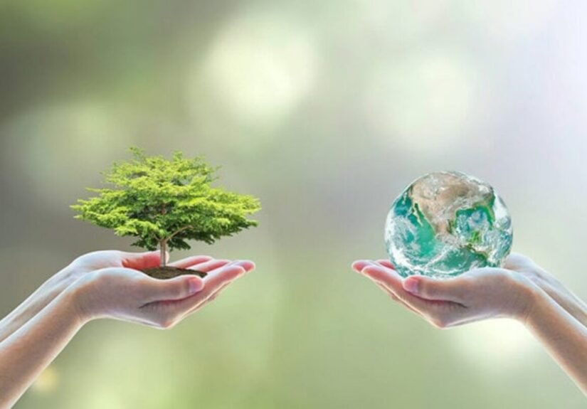 Web3 ESG 应用案例